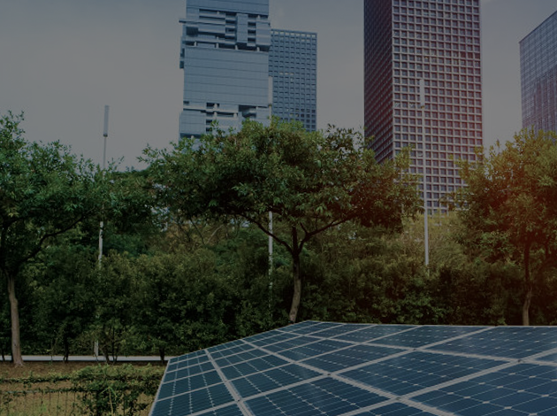 z6com��(�й���)���޹�˾����