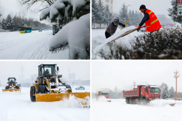 z6com��(�й���)���޹�˾����