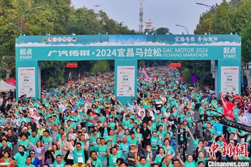 z6com��(�й���)���޹�˾����