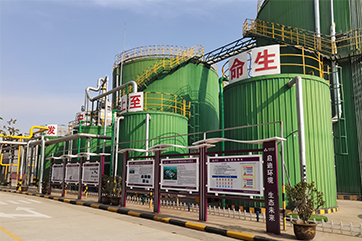 z6com��(�й���)���޹�˾����